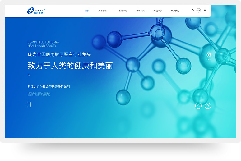 廣州創(chuàng)爾生物技術股份有限公司網(wǎng)站建設